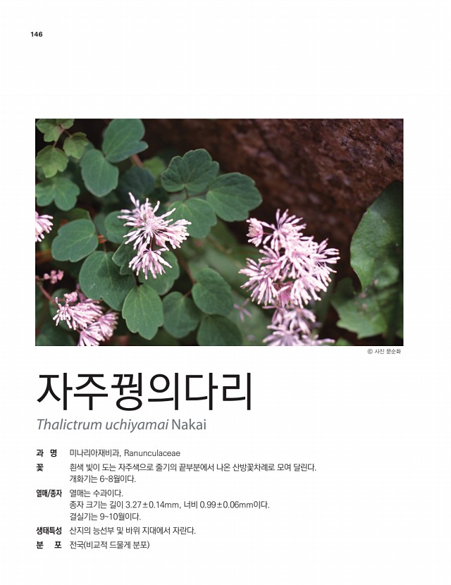 121페이지