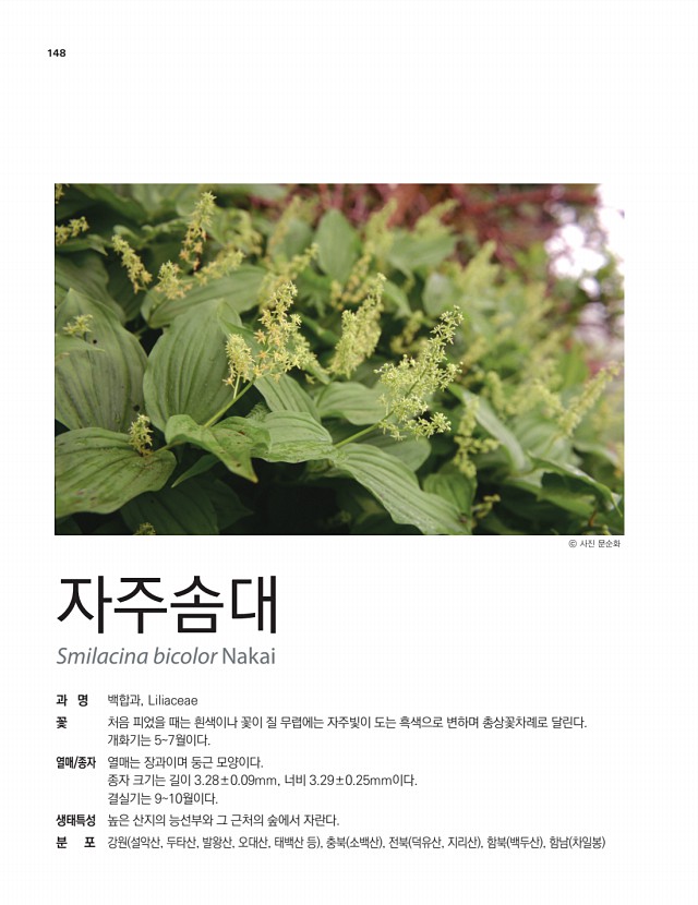 123페이지