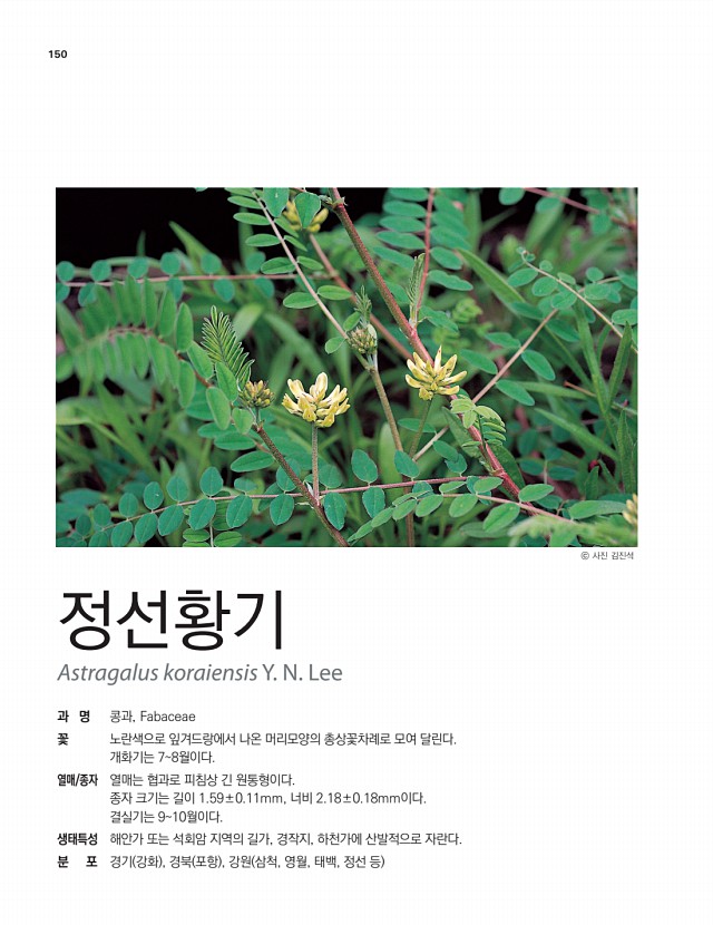 125페이지