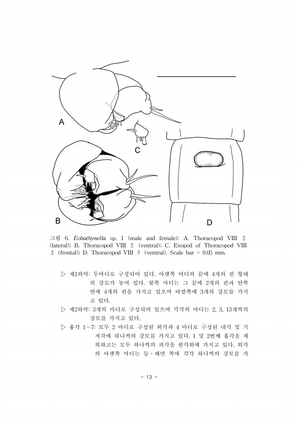 13페이지