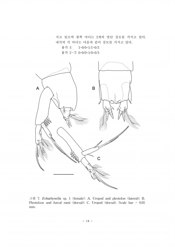 14페이지