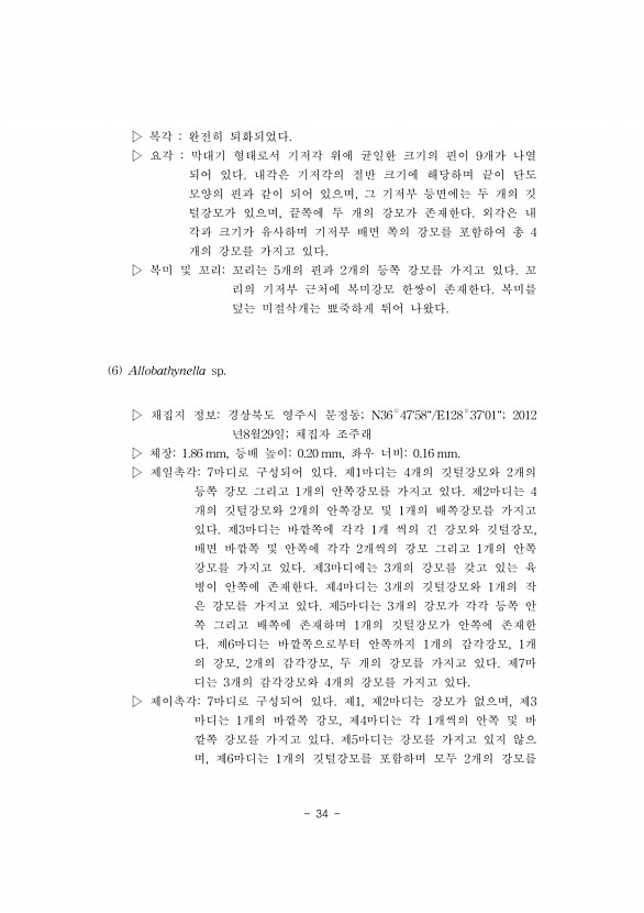 34페이지