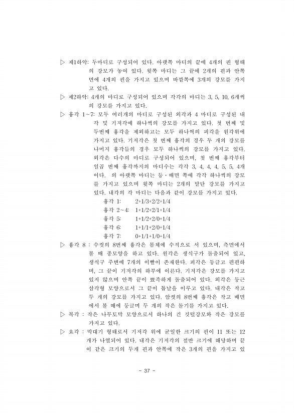 37페이지