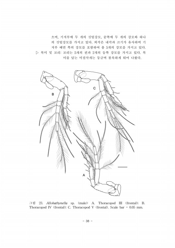 38페이지
