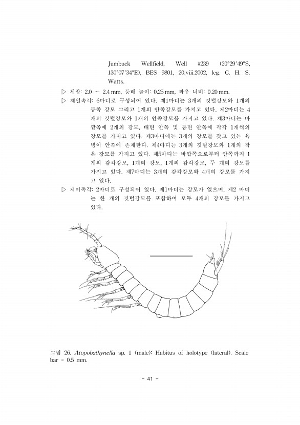 41페이지