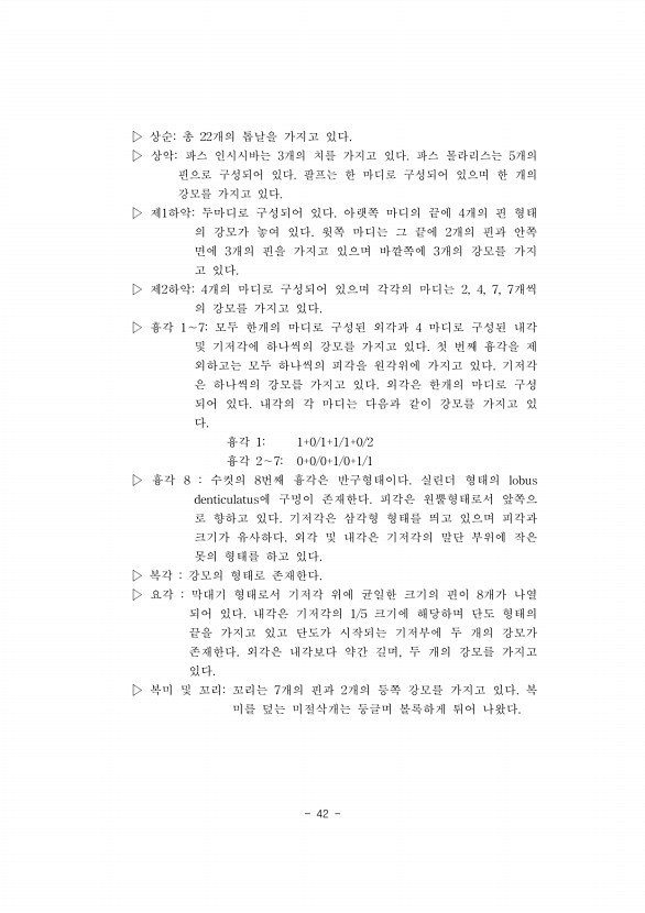42페이지