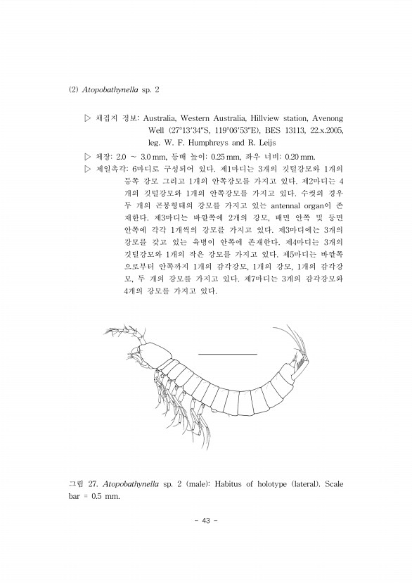 43페이지