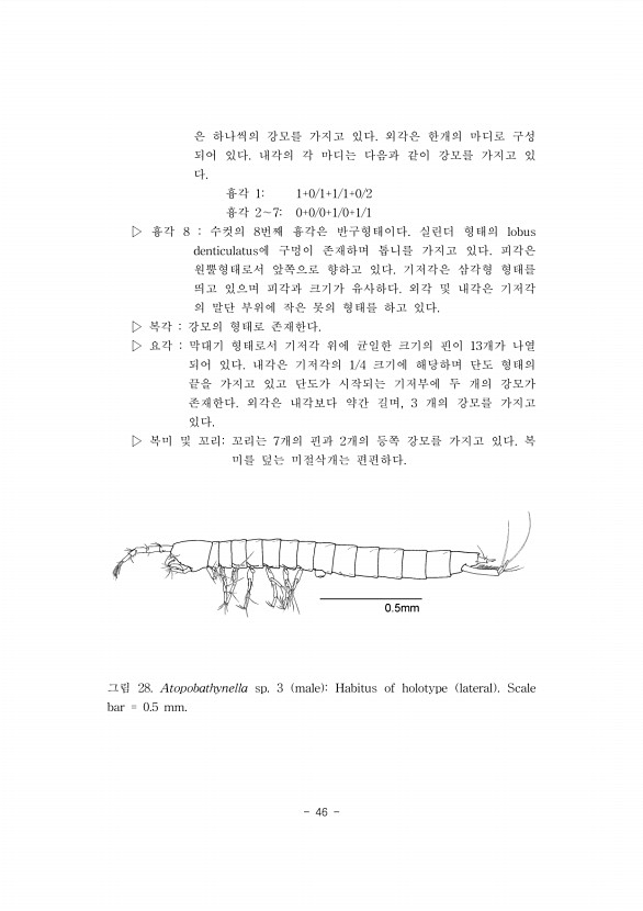 46페이지
