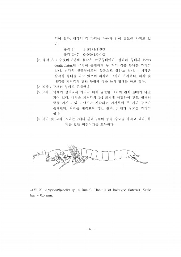 48페이지