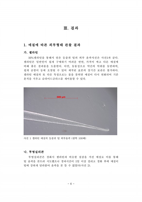 6페이지