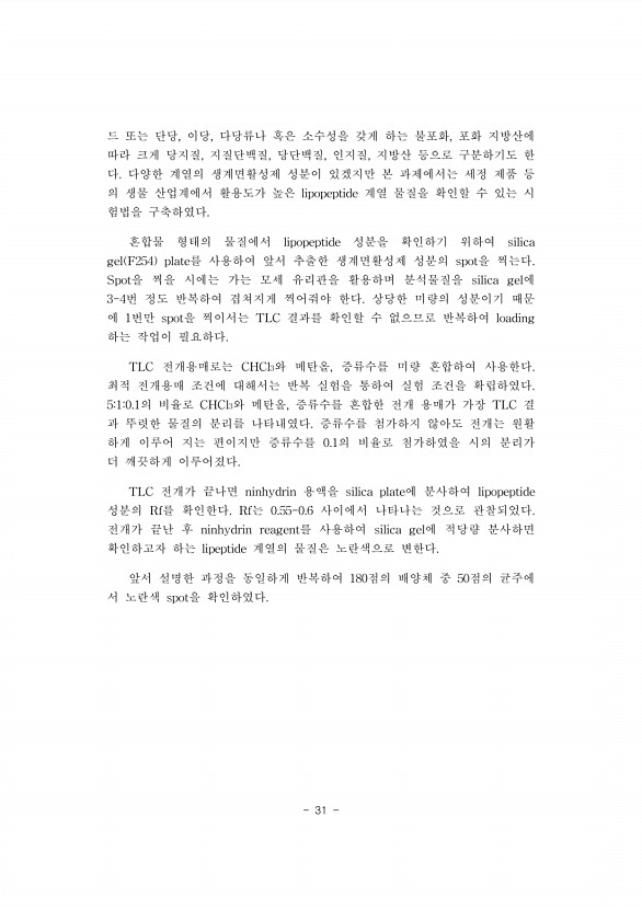 31페이지