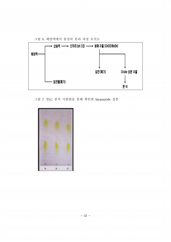 32페이지