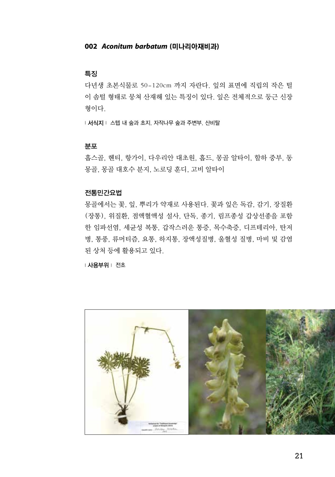페이지