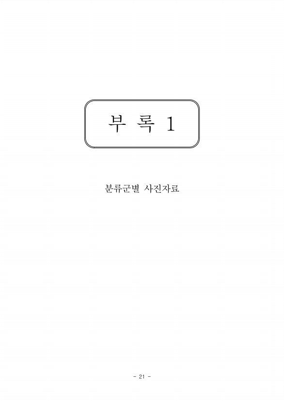 21페이지