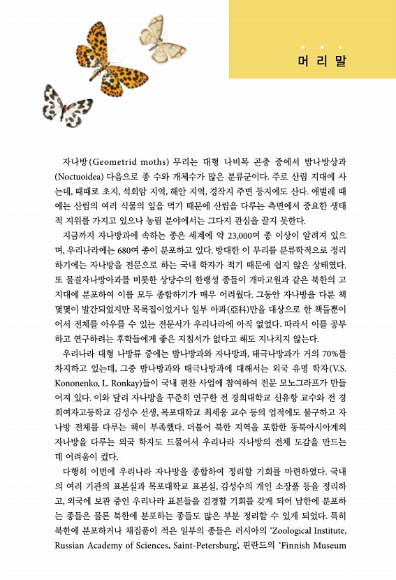 3페이지