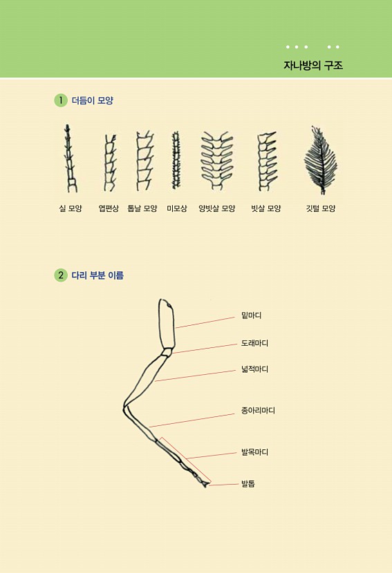 7페이지