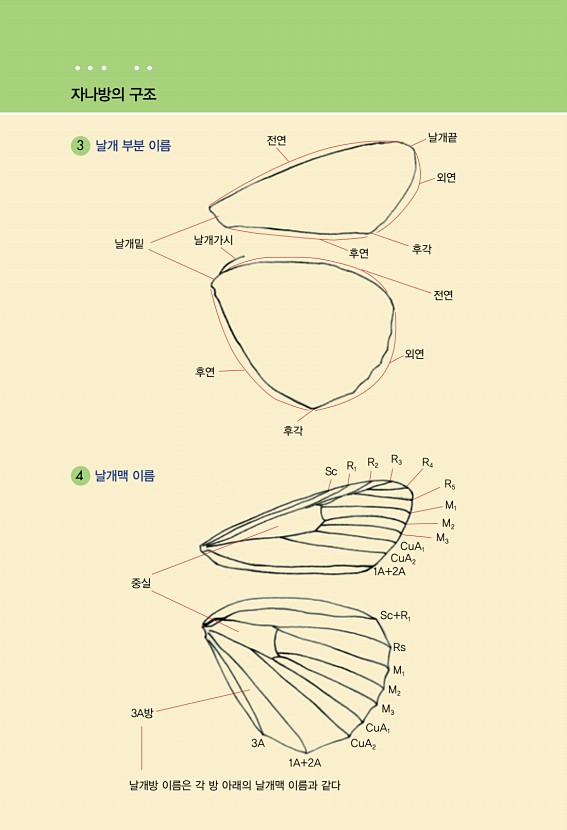 페이지