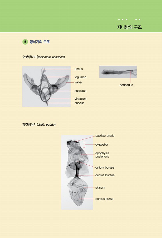 10페이지