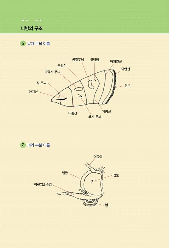 10페이지