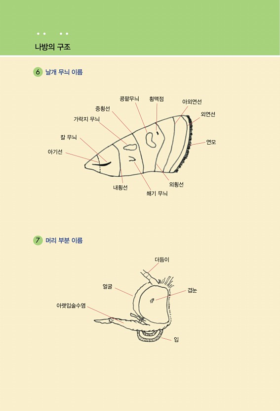 11페이지