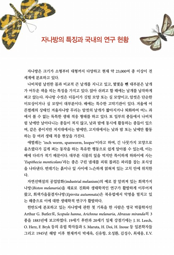 11페이지