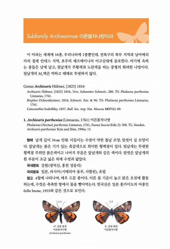 13페이지