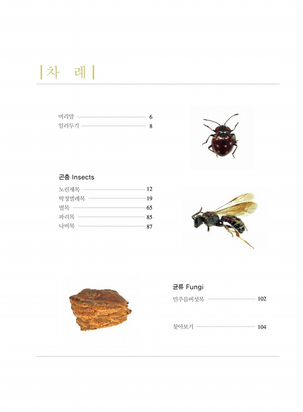 4페이지