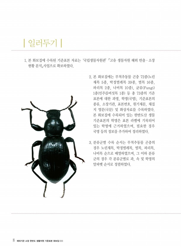 2페이지