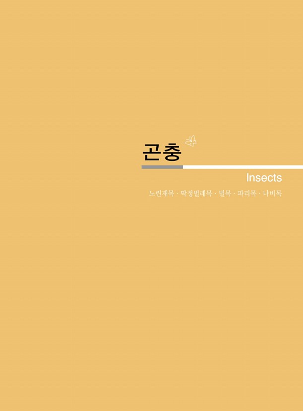 1페이지