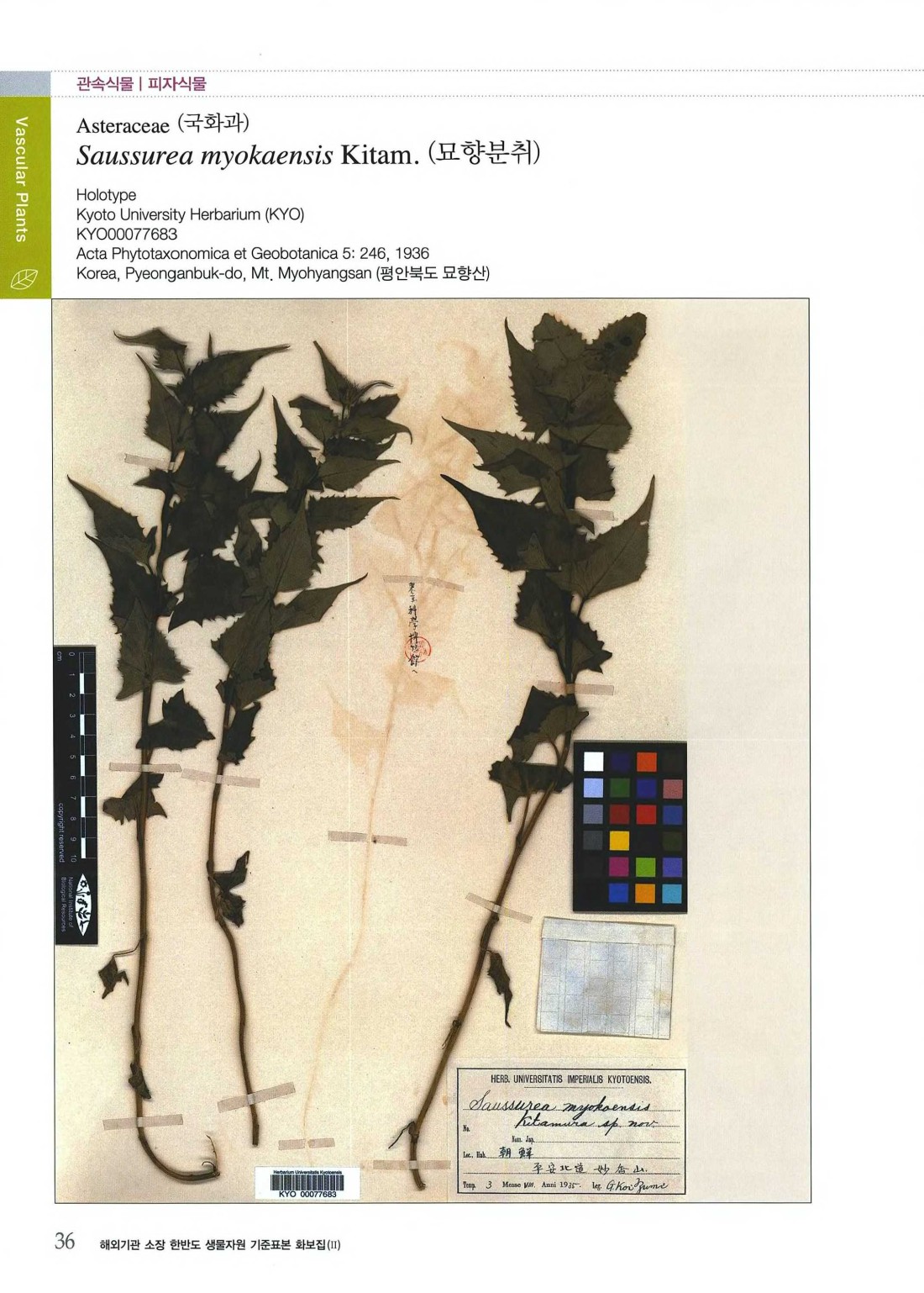 페이지
