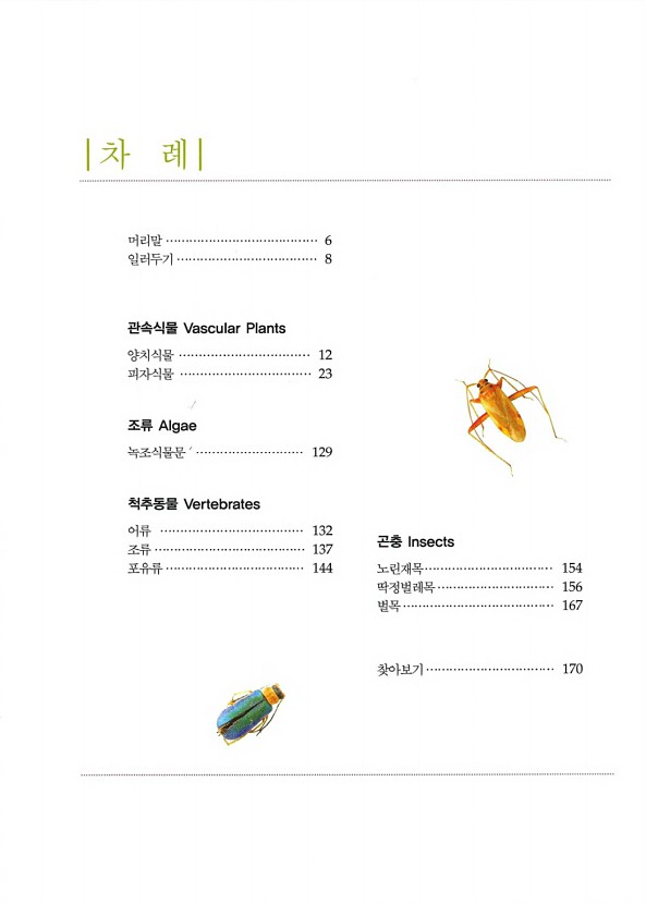 페이지