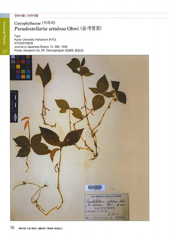 44페이지
