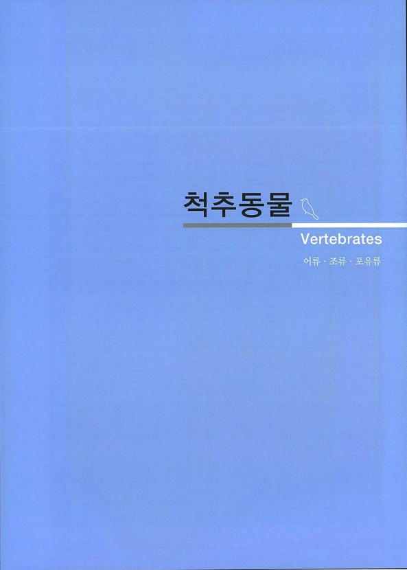 119페이지