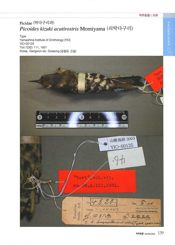 134페이지