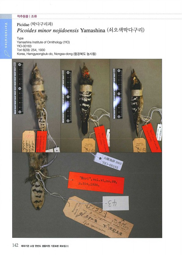 137페이지