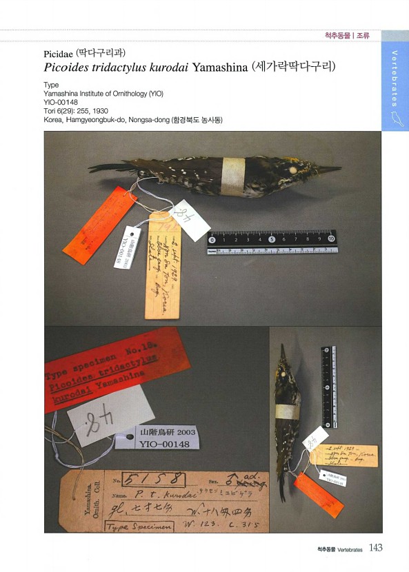 138페이지
