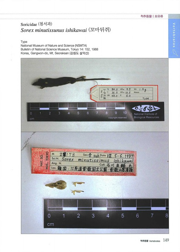 144페이지