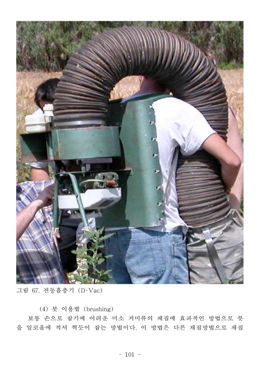 페이지