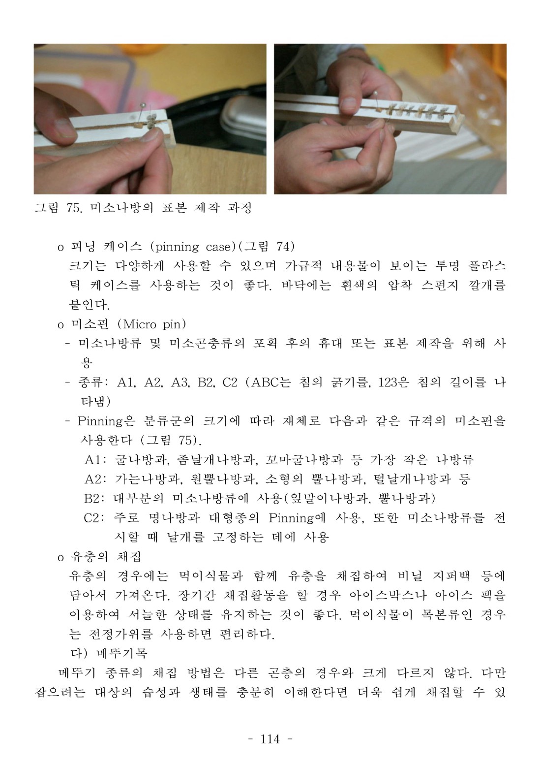 페이지