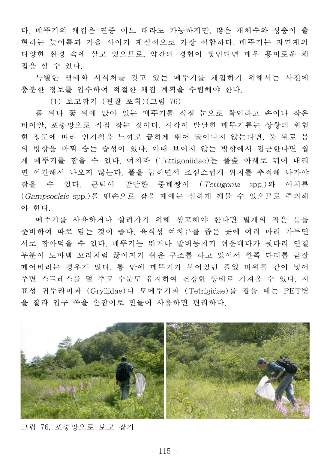 페이지