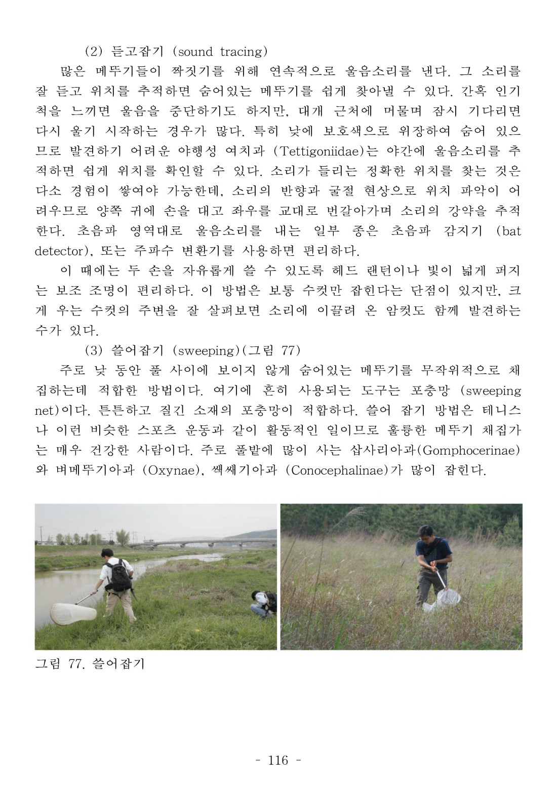 페이지