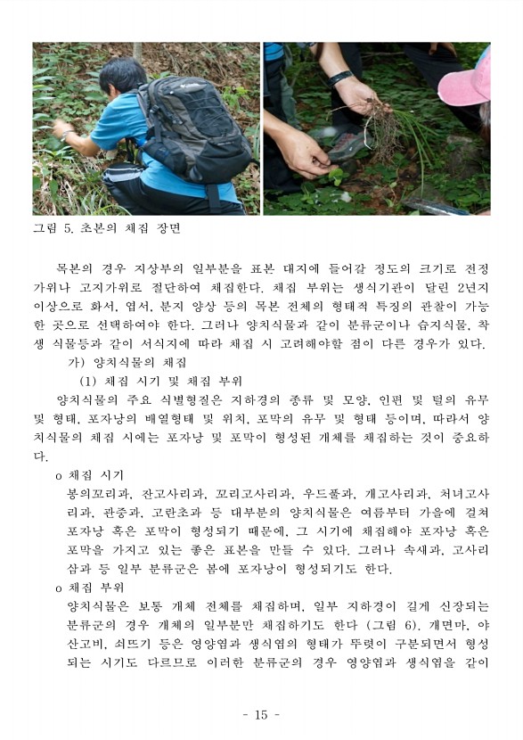 19페이지