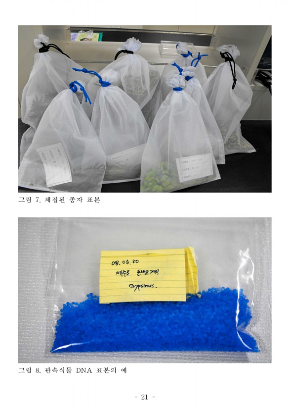 25페이지