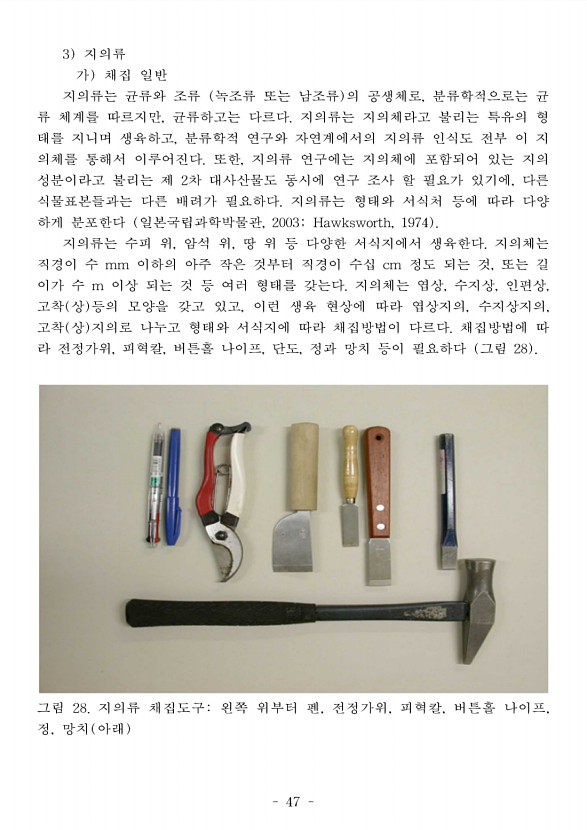 53페이지