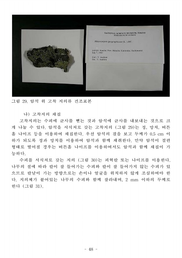 54페이지