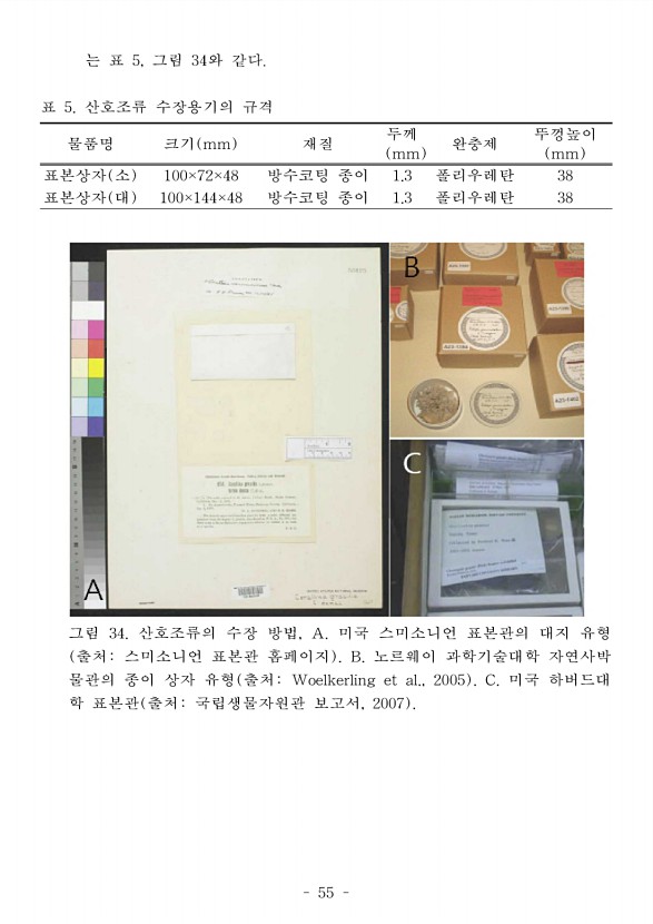61페이지