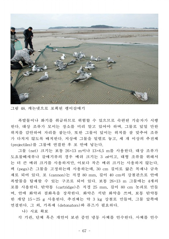 75페이지