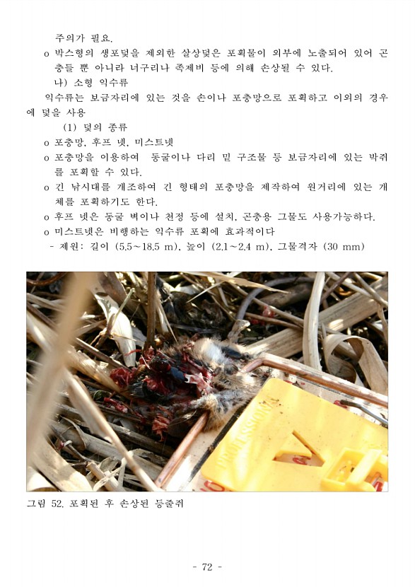 80페이지