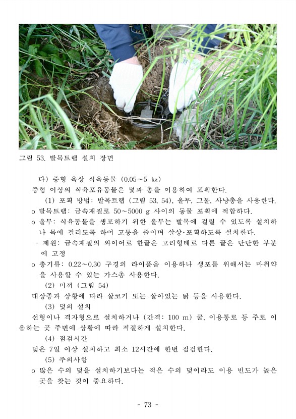 81페이지