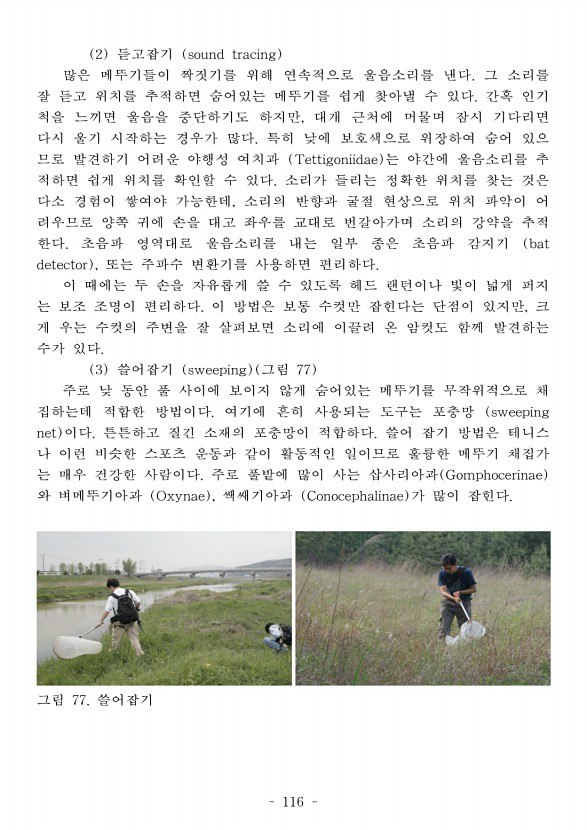 126페이지